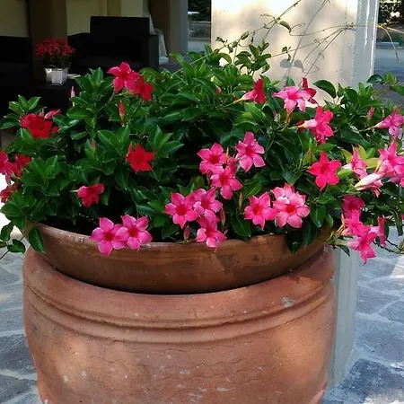 Casa di campagna Oasi A Casa Di Vale Pistoia