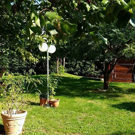 Oasi A Casa Di Vale פיסטויה